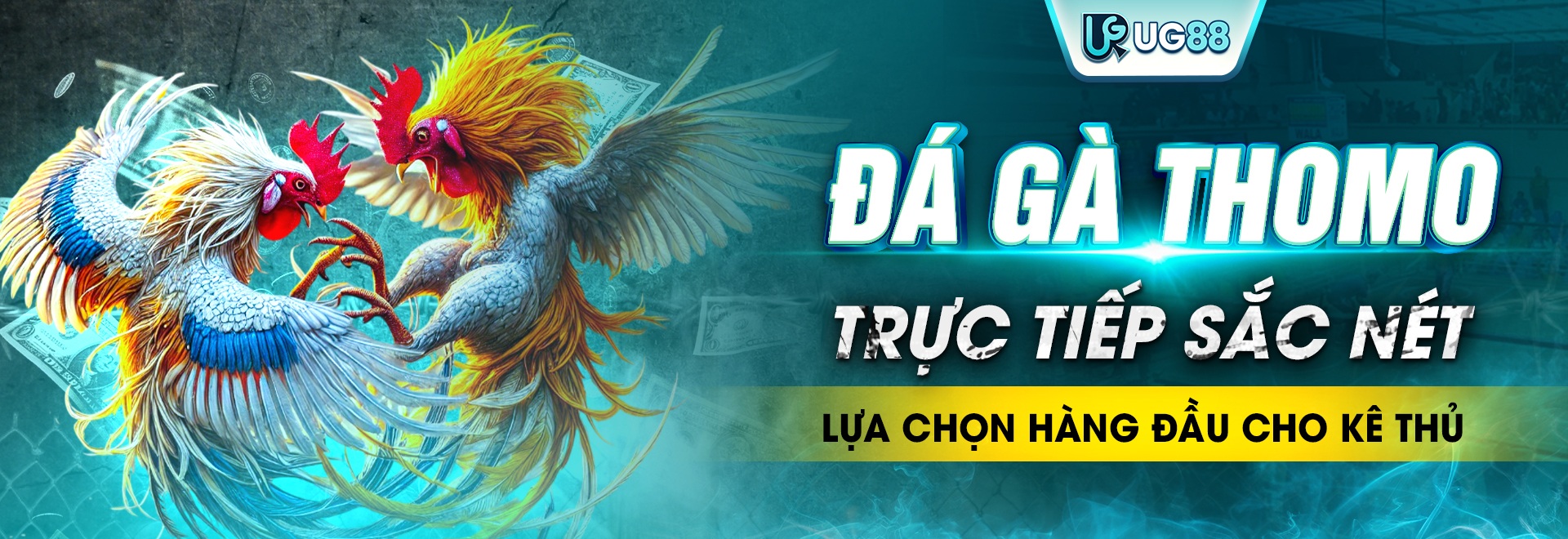 banner-ug88-top