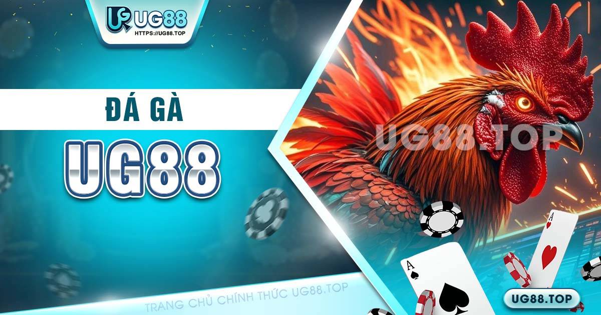 đá gà UG88