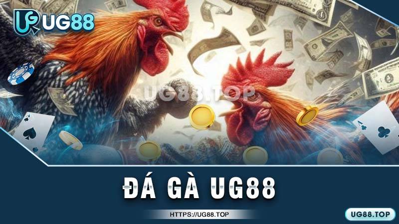 Danh sách sảnh đá gà tại UG88 